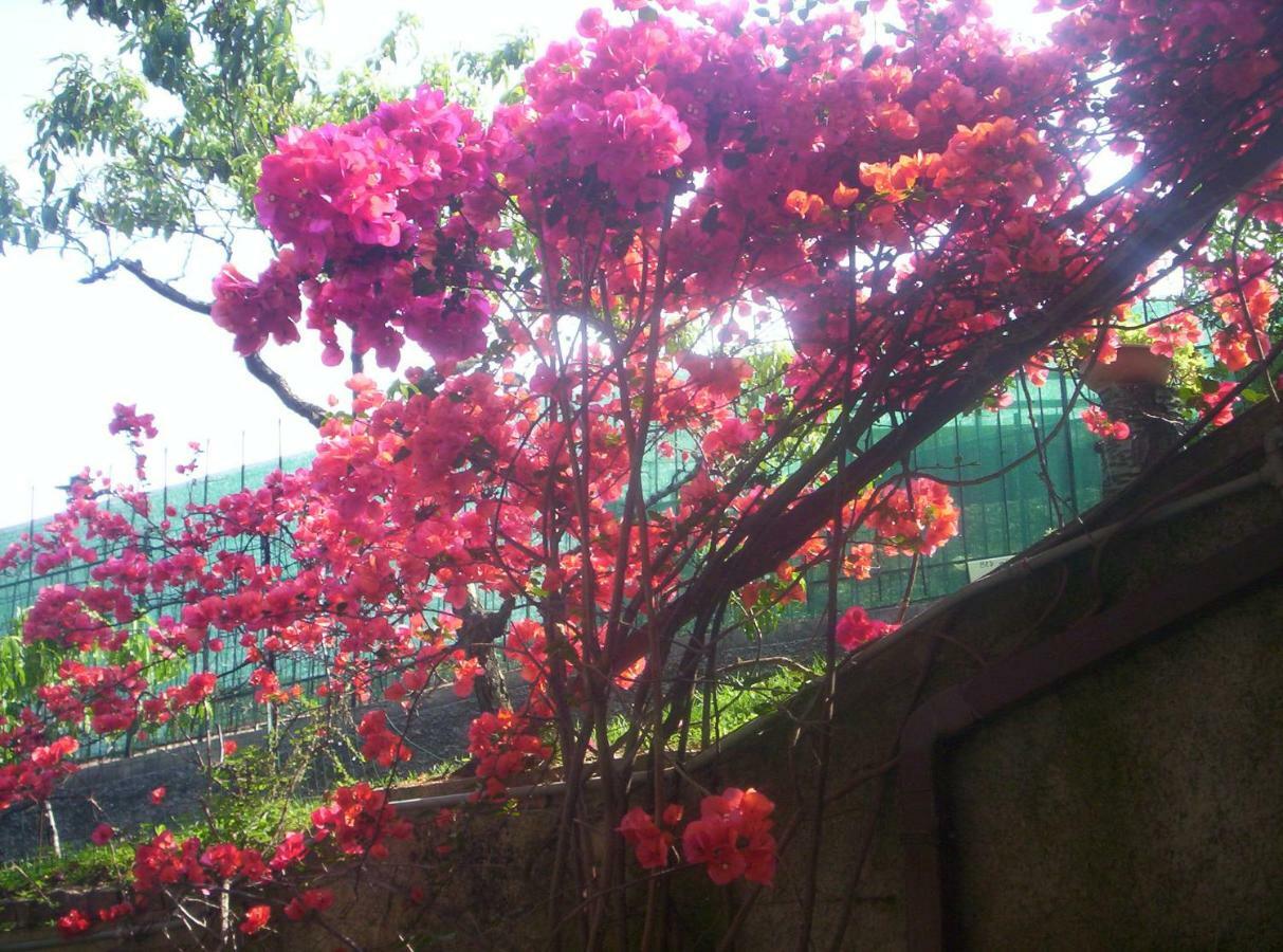 Bed and Breakfast Le Gardenie Da Fil Bordighera Exterior foto