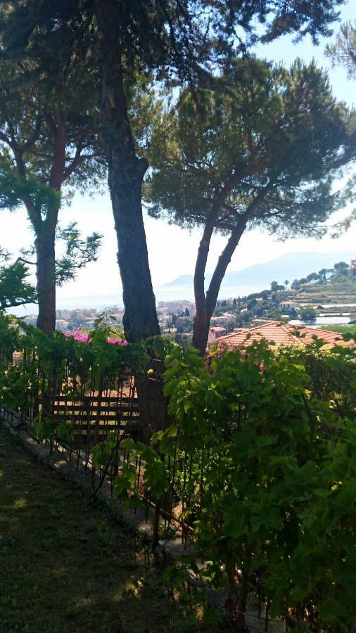 Bed and Breakfast Le Gardenie Da Fil Bordighera Exterior foto